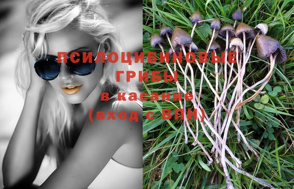 Альфа ПВП Зеленокумск