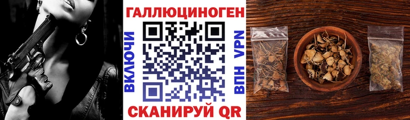 Купить закладки  Новотроицк  Псилоцибиновые грибы прущие грибы 